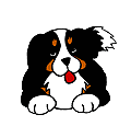 hond staart zwaait