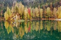 12374774-beautiful-autumn-lake-in-adrspach-czech-republic